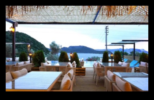 Shelter Shangri-La: יצירת השהות המושלמת שלך