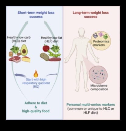 דיאטות לטווח קצר וההשפעה על רווחה נפשית