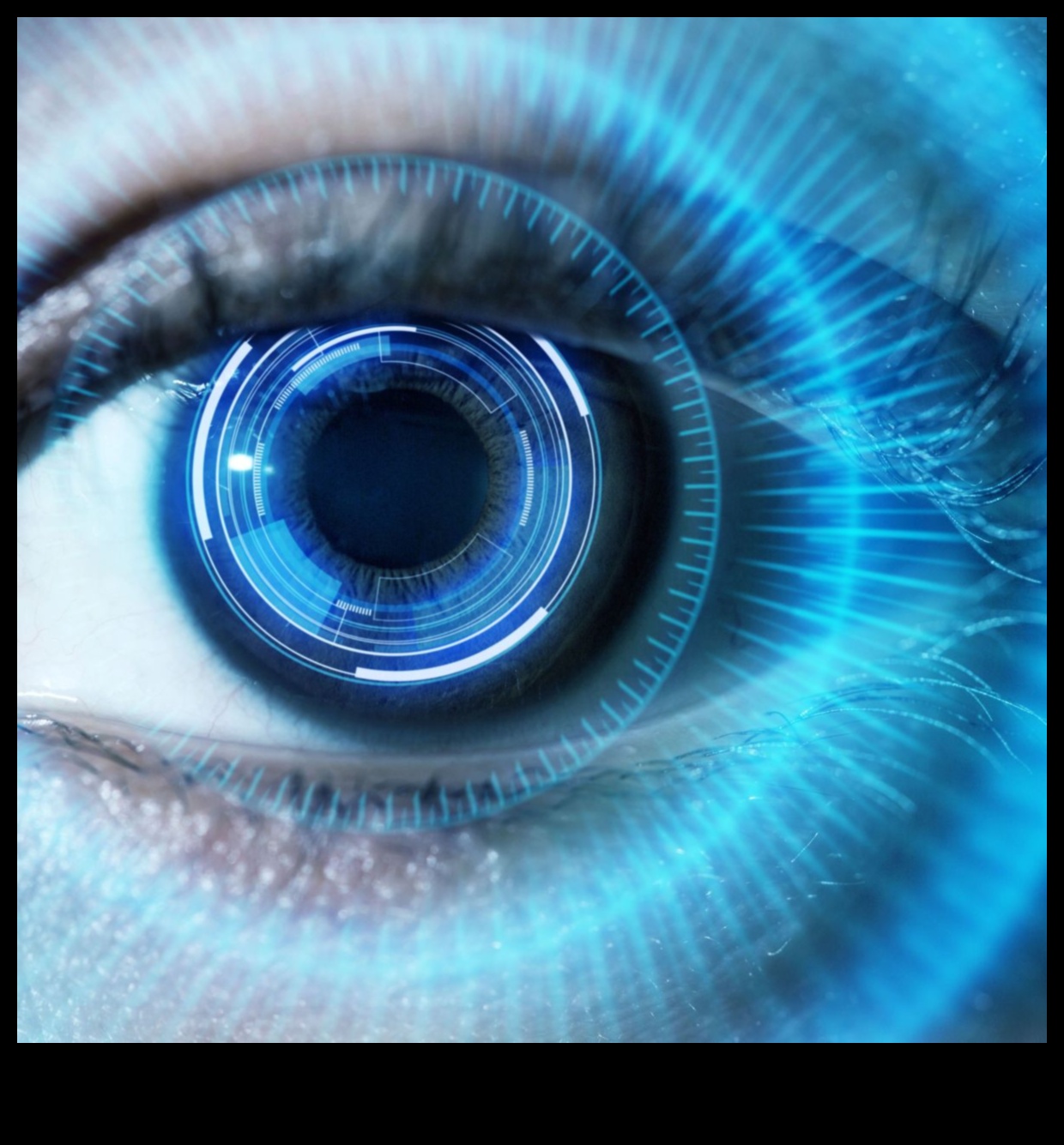 פלאי זווית רחבה: חקר את כוחן של עדשות פרימיום