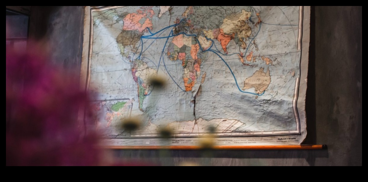 פלאי זווית רחבה: חקר את כוחן של עדשות פרימיום