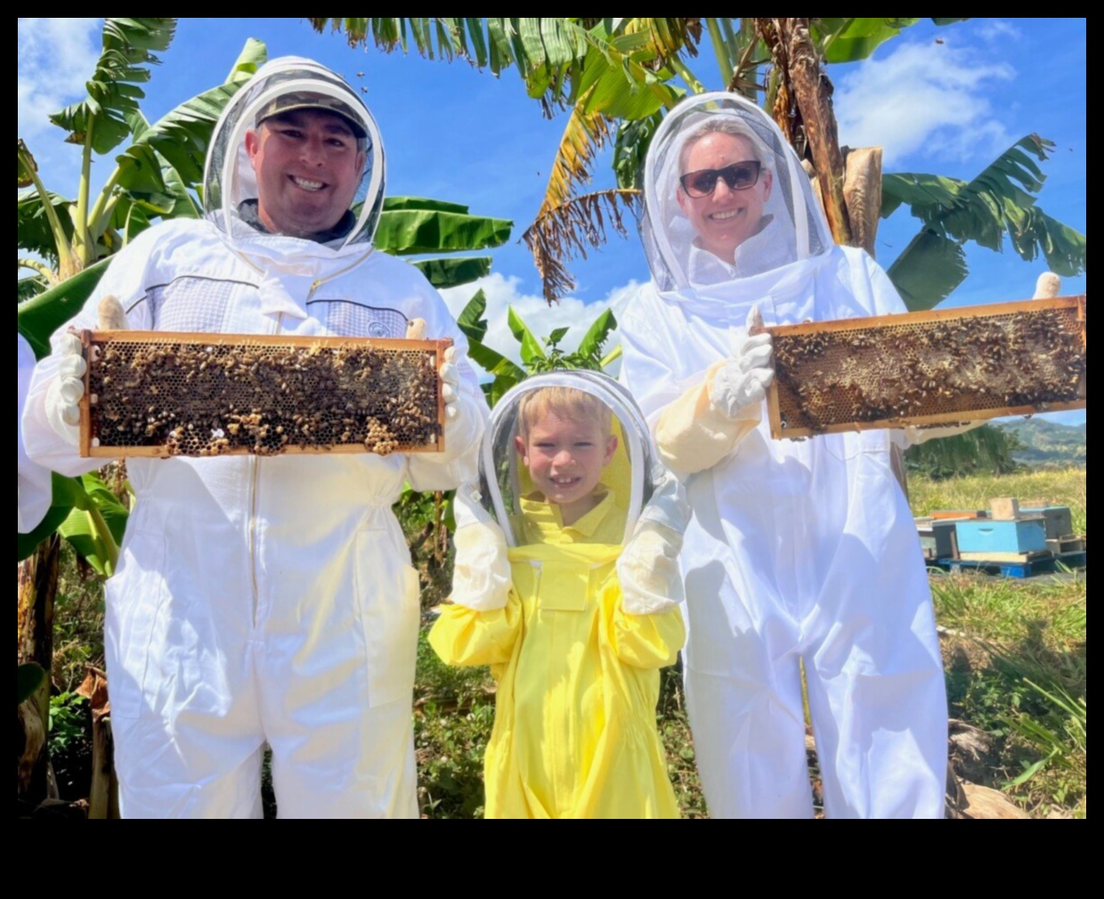 צוף השכונה: להתענג על המתיקות של אבני חן מקומיות