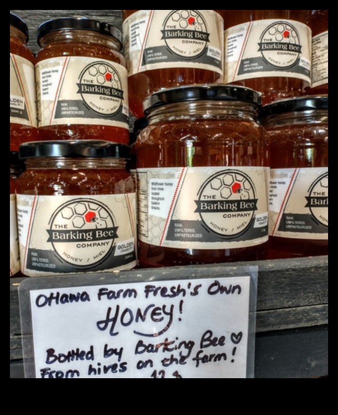 צוף השכונה: להתענג על המתיקות של אבני חן מקומיות