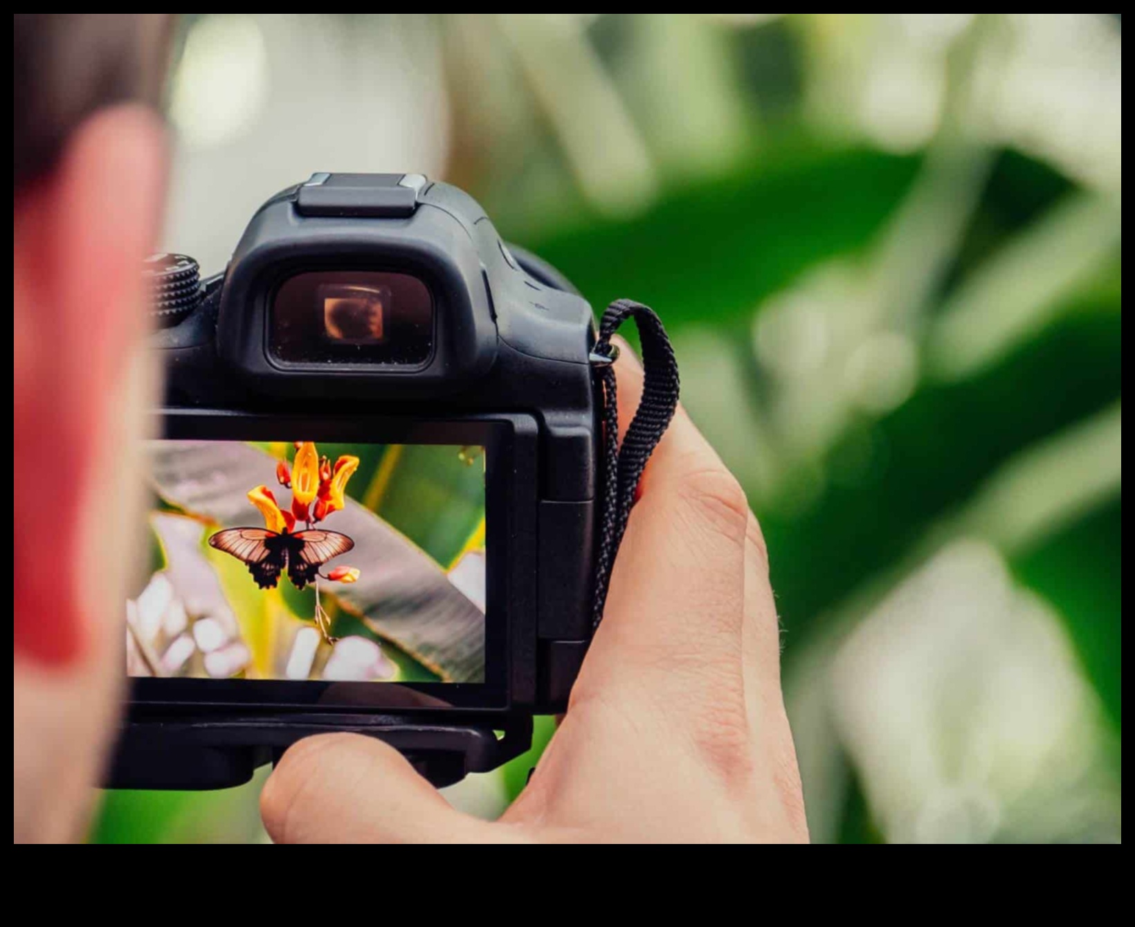 קנבס דיגיטלי מעלה את האומנות שלך באמנות הצילום 3 קנבס דיגיטלי: הרם את האומנות שלך באמנות הצילום