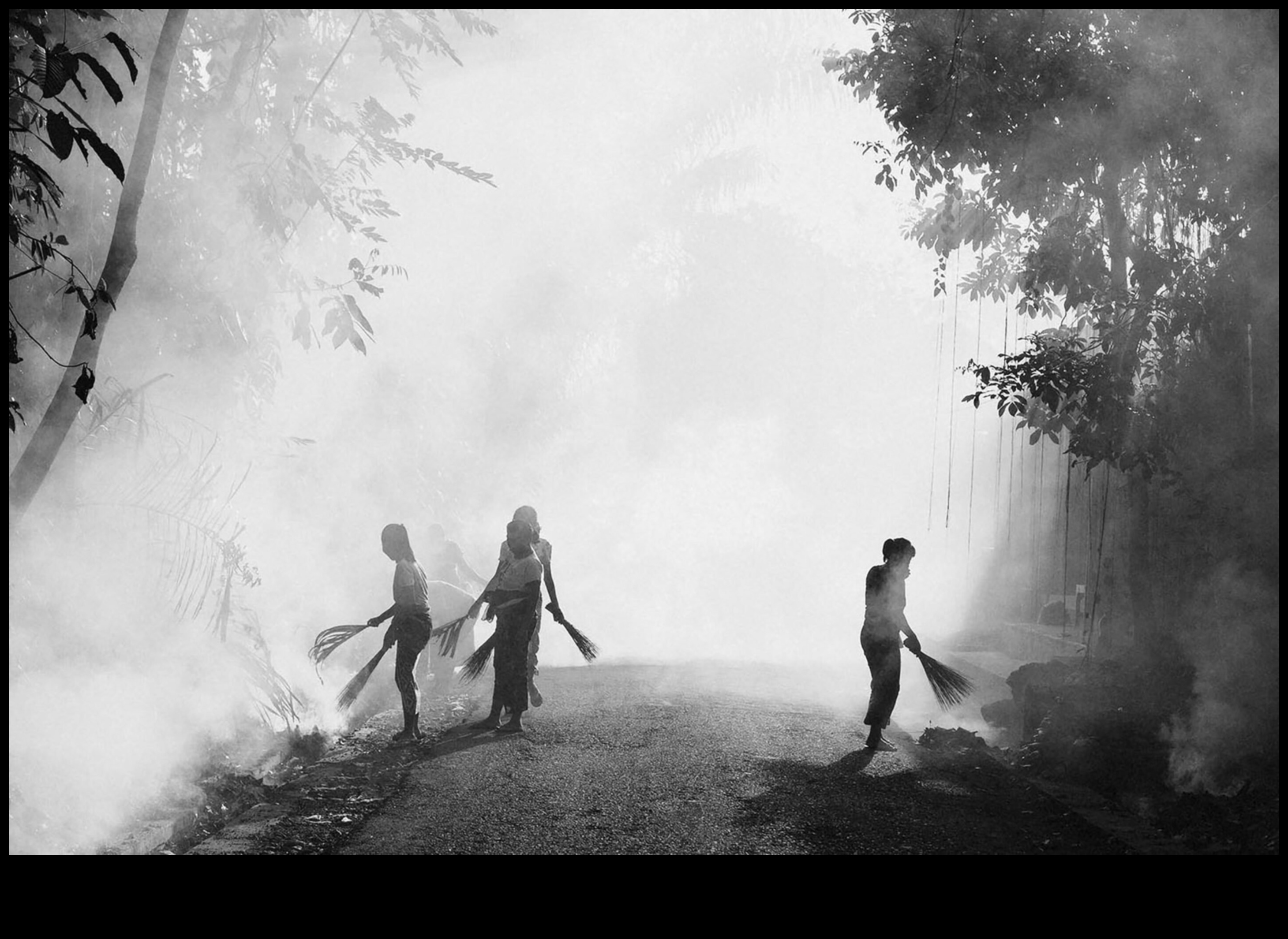 נרטיבים טבעיים: סיפור באמצעות סגנונות צילום אורגניים וכנים