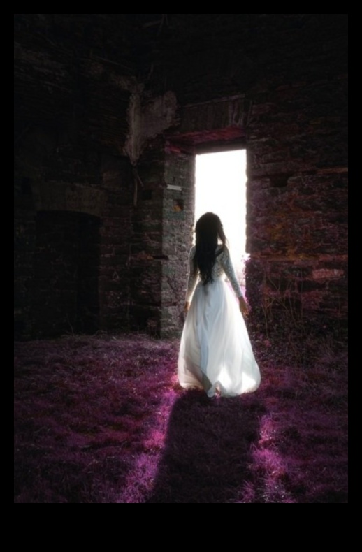 נרטיבים טבעיים: סיפור באמצעות סגנונות צילום אורגניים וכנים