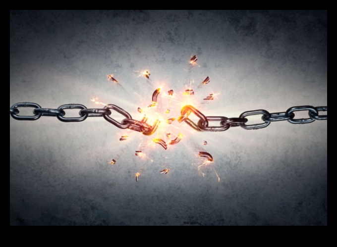 צילום משוחרר: שולט במלאכה שלך עם חינוך מקיף