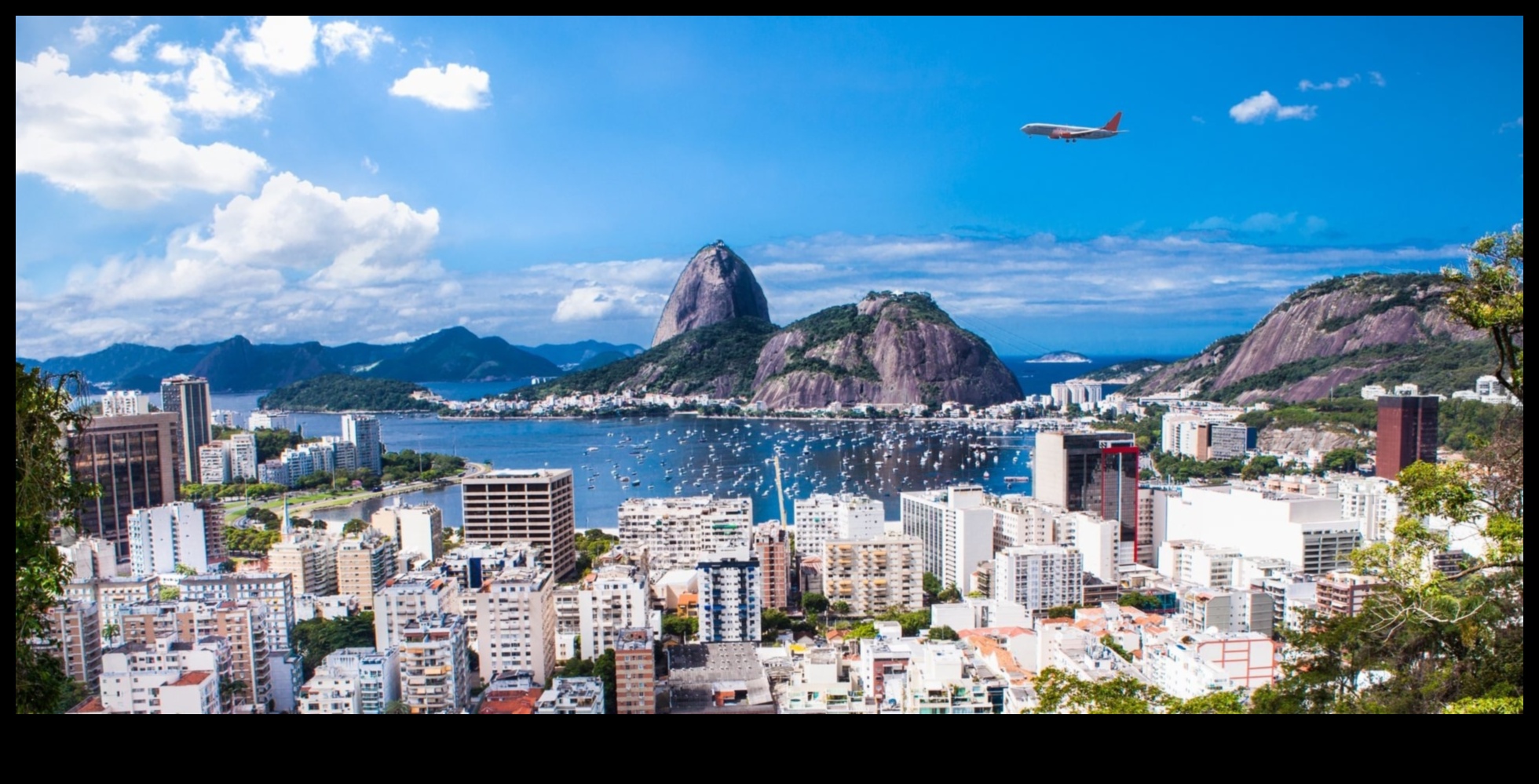 קווי רקיע מפוסלים: סיור בפלאים העירוניים