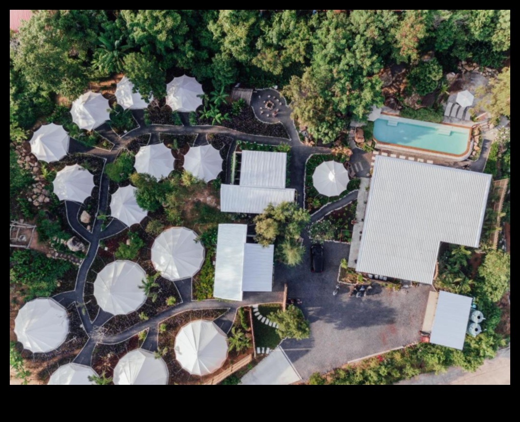 Roost Reverie בית מפואר הרחק מהבית 2 Roost Reverie: יצירת הקן האידיאלי שלך הרחק מהבית