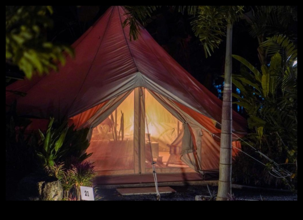 Roost Reverie בית מפואר הרחק מהבית 4 Roost Reverie: יצירת הקן האידיאלי שלך הרחק מהבית