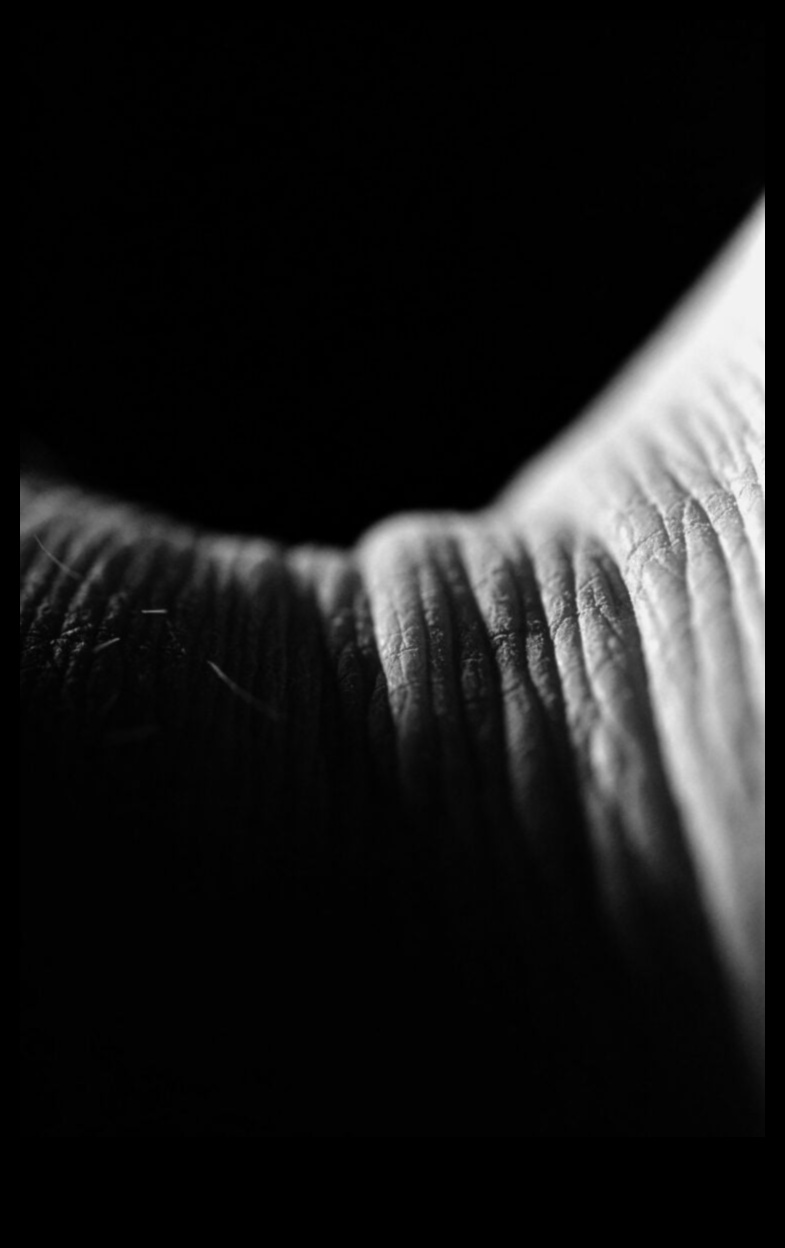 כרוניקות של מפגש קרוב: שקוע בתענוגות של צילום מאקרו