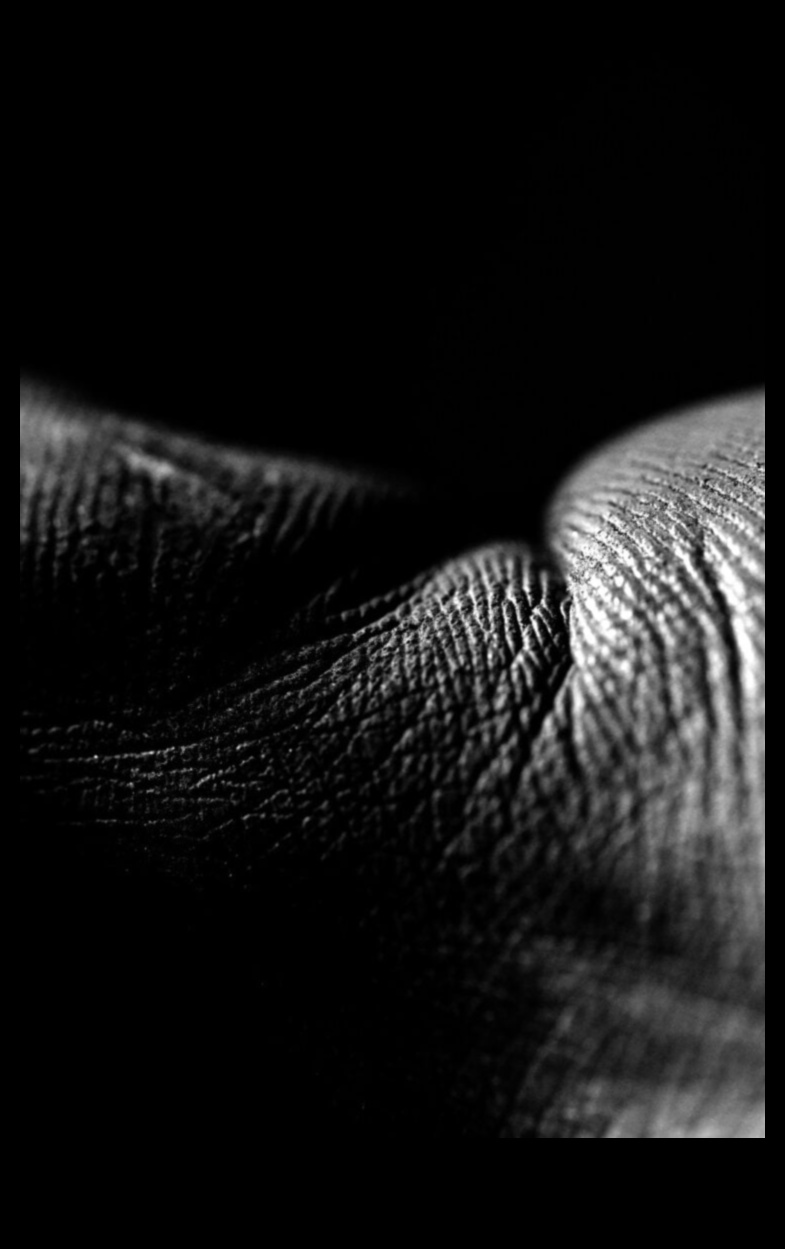 כרוניקות של מפגש קרוב: שקוע בתענוגות של צילום מאקרו