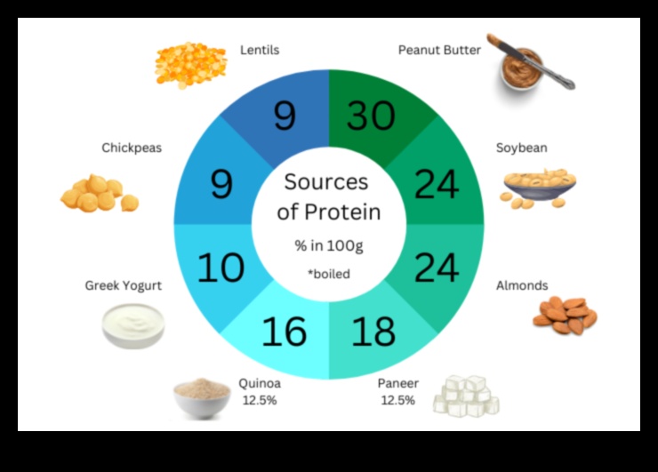 דיאטה צמחונית עתירת חלבונים 4 דיאטות עשירות בחלבונים לצמחונים: מקורות חלבון מהצומח