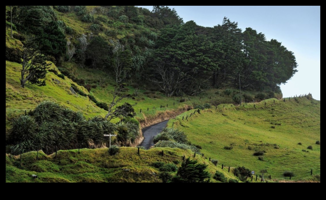 חקור את המציאות המרוחקת של צילום מסע 3 מציאות מרוחקת: מחוץ למסלול בצילום מסע