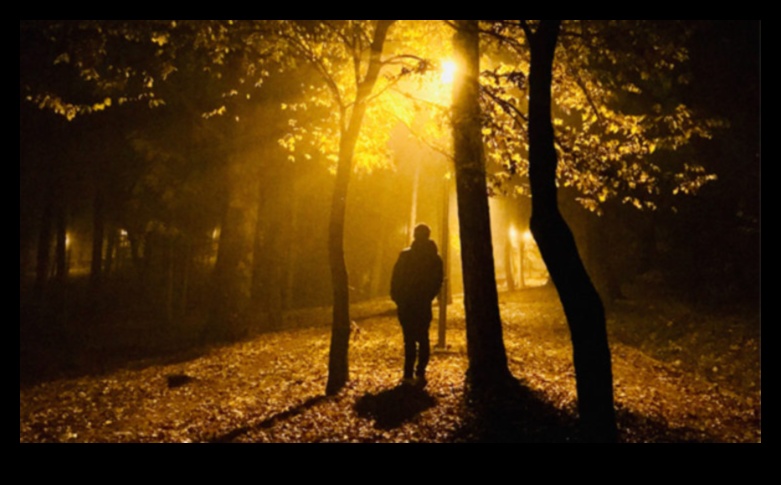 DiscoverDestiny: הדרך שלך למסעות מושלמים מתחילה בנו