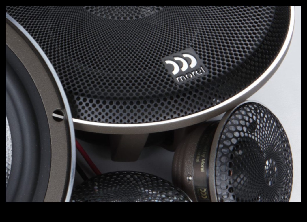 הרפתקאות שמע לרכב: מערכות סאונד מתקדמות לחובבי רכב