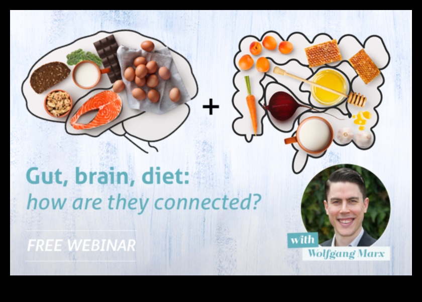 הקשר בין תזונה למעיים 2 דיאטות ארוכות טווח ובריאות המעיים: קשר סימביוטי