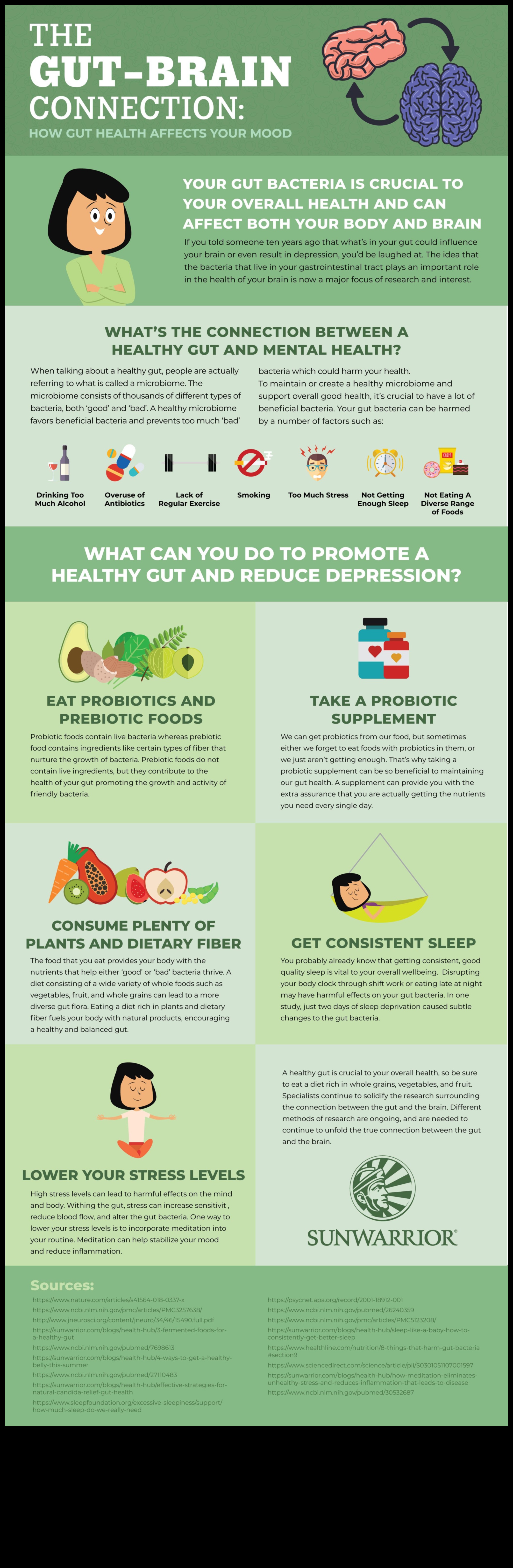 הקשר בין תזונה למעיים 3 דיאטות ארוכות טווח ובריאות המעיים: קשר סימביוטי