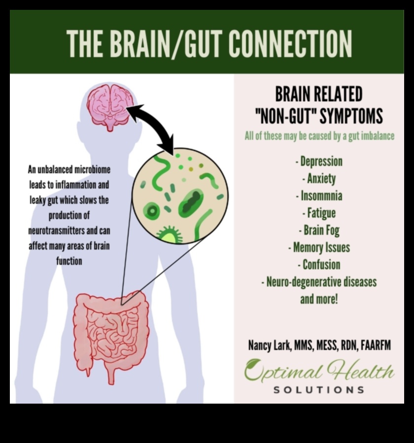 הקשר בין תזונה למעיים 5 דיאטות ארוכות טווח ובריאות המעיים: קשר סימביוטי