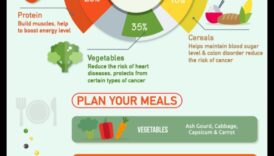 5 דיאטות דרך החיים הטובות ביותר לחיים בריאים 1 המדע שמאחורי דיאטות אורח חיים: פרספקטיבה הוליסטית