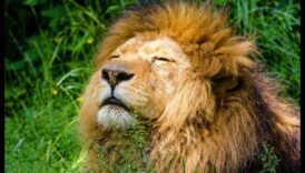 Aperture Alchemy פער את היכולת היצירתי האישי שלך ולא באמצעות לימודים מקצועי לצילום 2 אלכימיה של צמצם: פתיחת יצירתיות עם חינוך מומחה לצילום