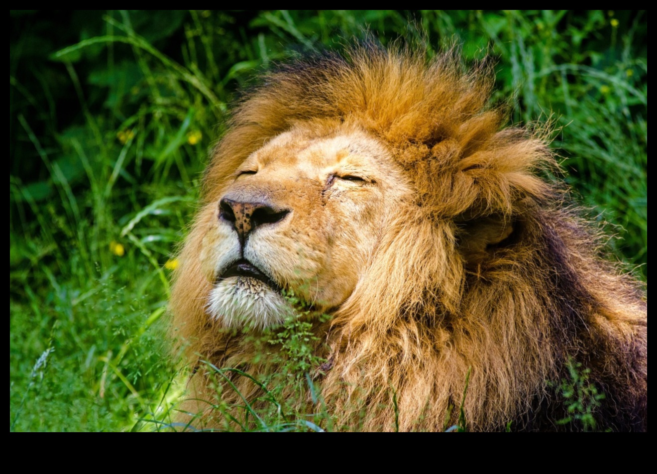 Aperture Alchemy גלה את הפוטנציאל היצירתי שלך עם חינוך מומחה לצילום 1 אלכימיה של צמצם: פתיחת יצירתיות עם חינוך מומחה לצילום