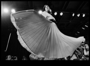 Couture Chronicles: A Fashionista's Visual Journey