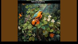 Riverside Rhythms סימפוניה של פעולות חוצות לכולם 2 מקצבי ריברסייד: סימפוניה של פעילויות חוצות