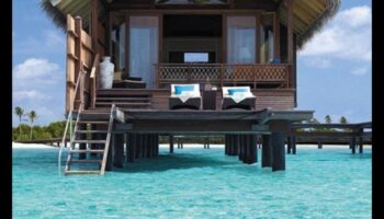 Shelter Shangri-La: יצירת השהות המושלמת שלך