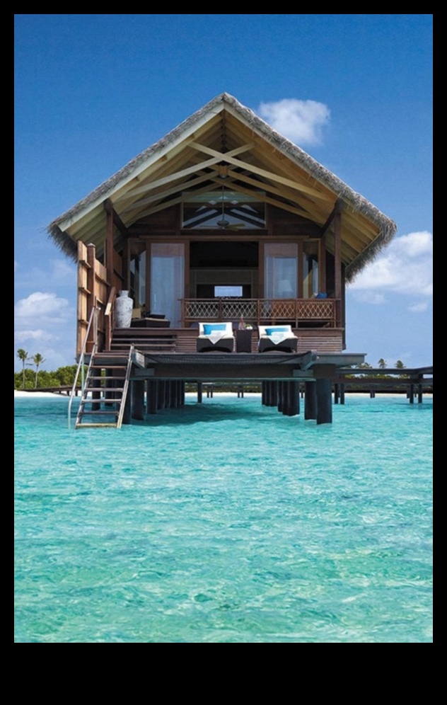 Shelter Shangri-La: יצירת השהות המושלמת שלך