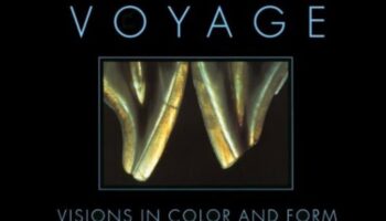 Voyage Visions: יצירת גישה בעלת חזון לטיולים