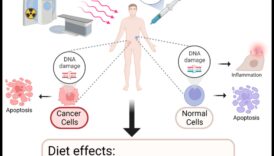 השפעת התזונה הקטוגנית על מניעת סרטן