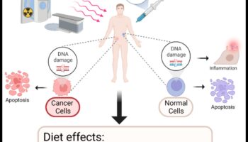 השפעת התזונה הקטוגנית על מניעת סרטן