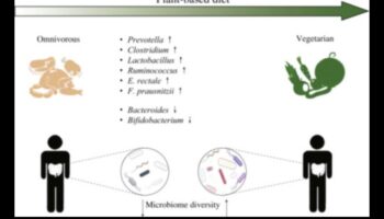צמחונות והמיקרוביום: מה הקשר?