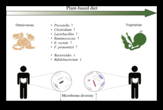 צמחונות והמיקרוביום: מה הקשר?