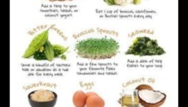 כיצד דיאטת פליאו יכולה להושיט יד באיזון ההורמונים האישי שלך 4 פליאו ושינויים הורמונליים: פרספקטיבה מקיפה