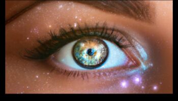 פלאי זווית רחבה: חקר את כוחן של עדשות פרימיום