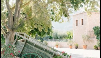 זוהר כפרי: חוגגים את הקסם הכפרי עם סגנונות צילום כפריים