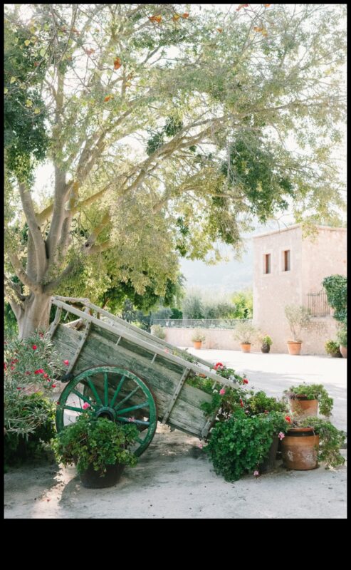 זוהר כפרי: חוגגים את הקסם הכפרי עם סגנונות צילום כפריים